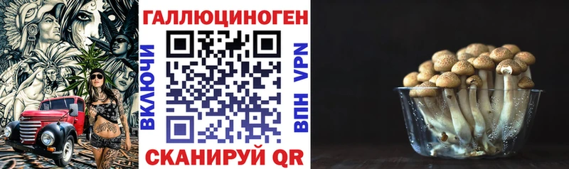 Псилоцибиновые грибы GOLDEN TEACHER  дарк нет наркотические препараты  Ивдель  сколько стоит 